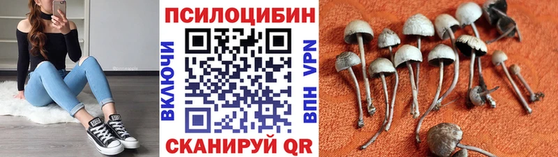 Галлюциногенные грибы мицелий Серафимович
