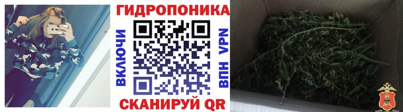 Канабис индика Серафимович